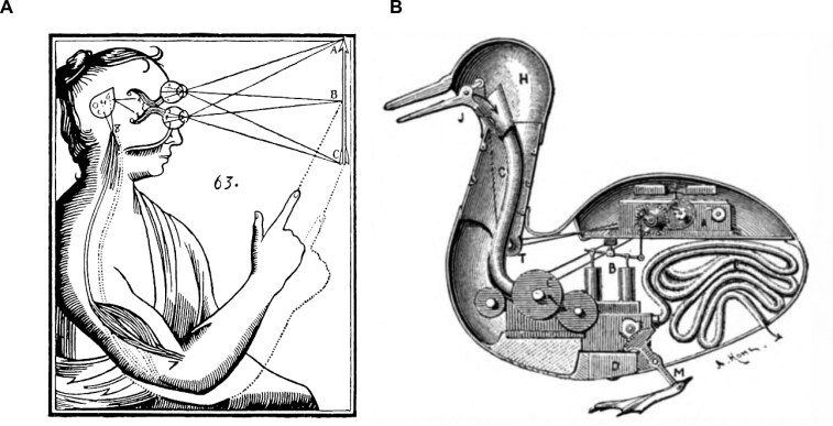 Illustration representing Descartes's concept of animals as mechanical automata.