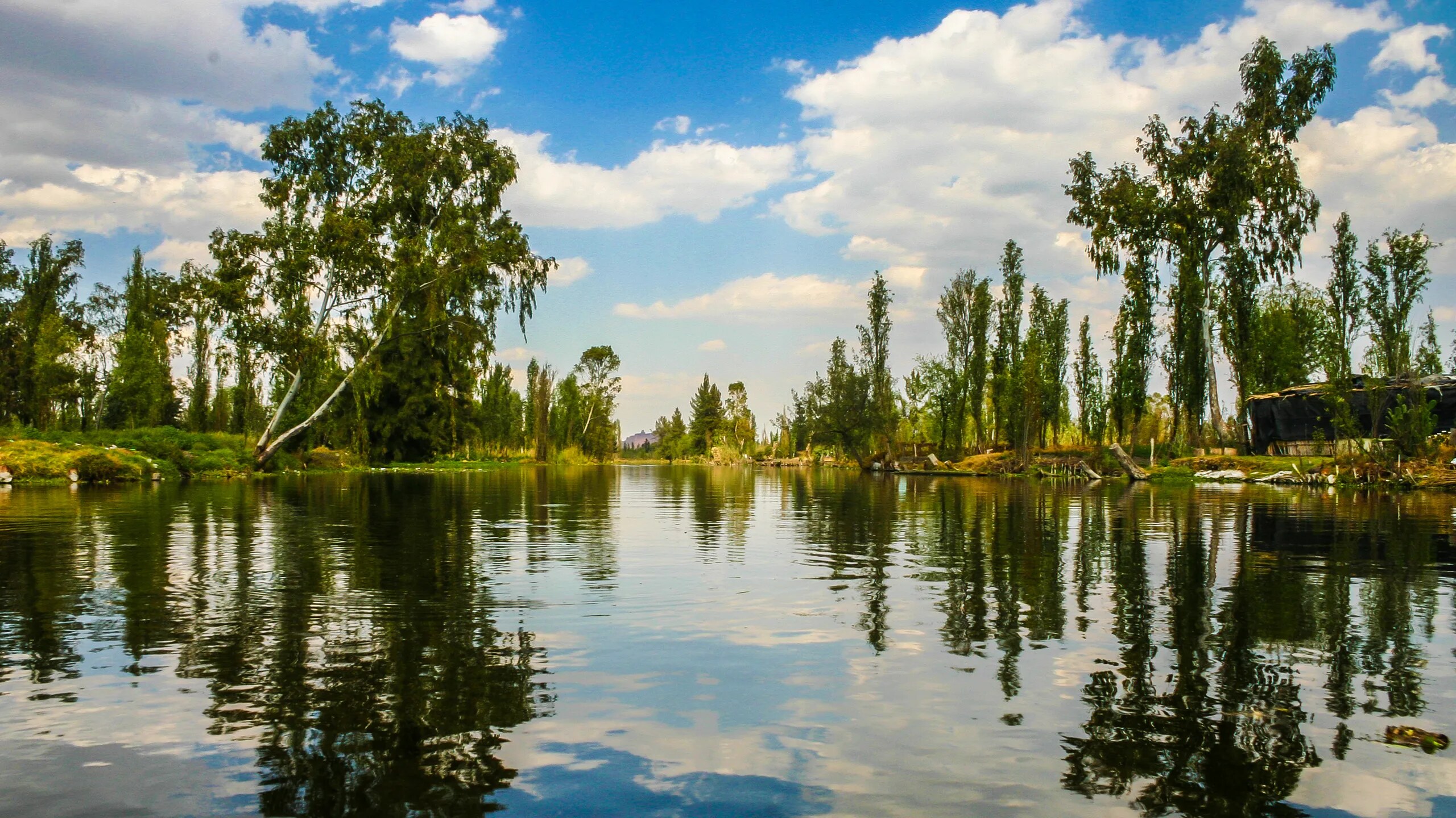 Scenic view of Lake Xochimilco with water, sky, and shoreline vegetation.